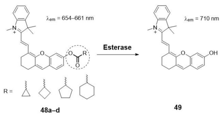 Scheme 10