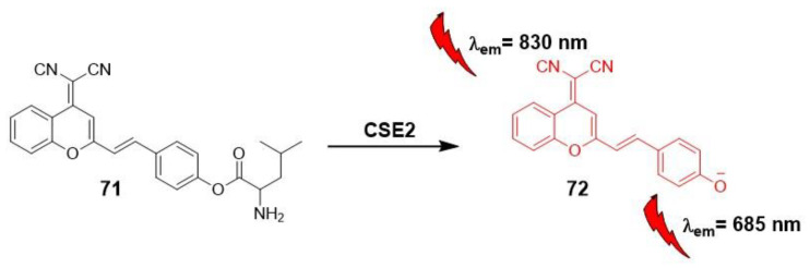 Scheme 19