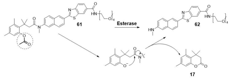 Scheme 15