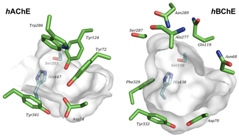 Figure 18