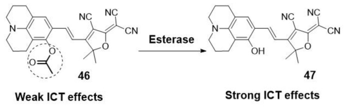 Scheme 9