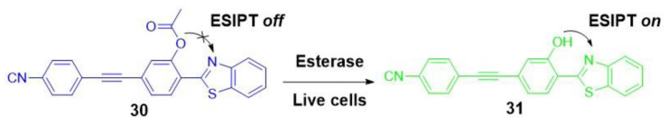 Scheme 6