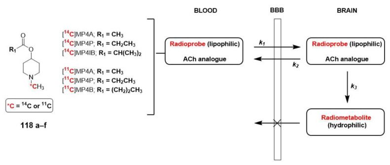 Figure 20