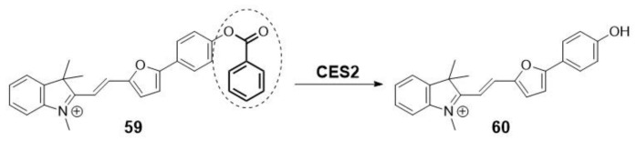 Scheme 14