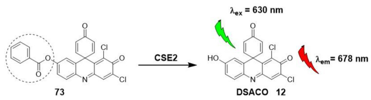 Scheme 20