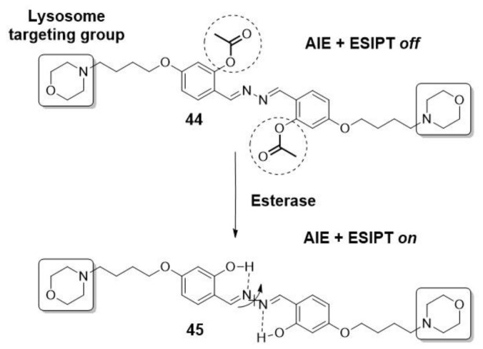 Scheme 8