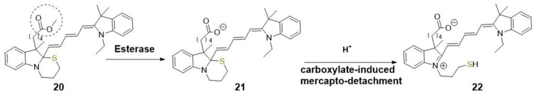 Scheme 3