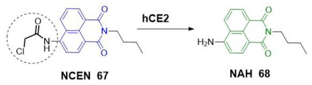 Scheme 17