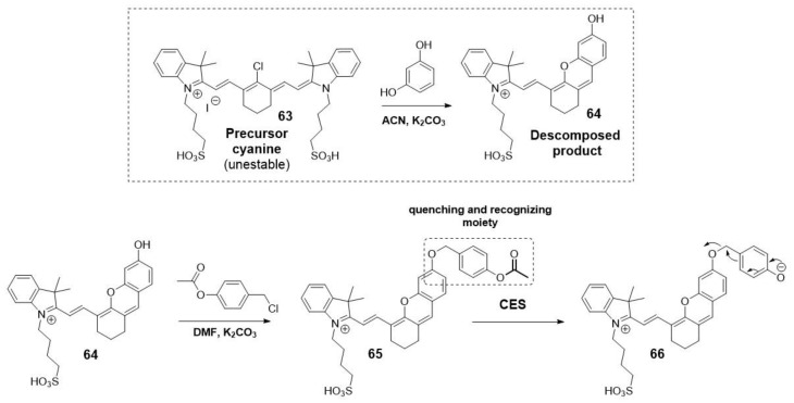 Scheme 16