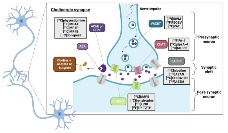 Figure 13