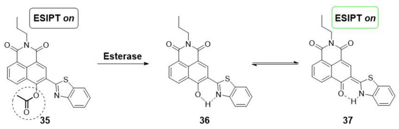 Scheme 7