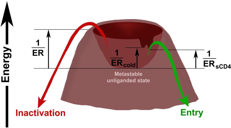 FIG 10