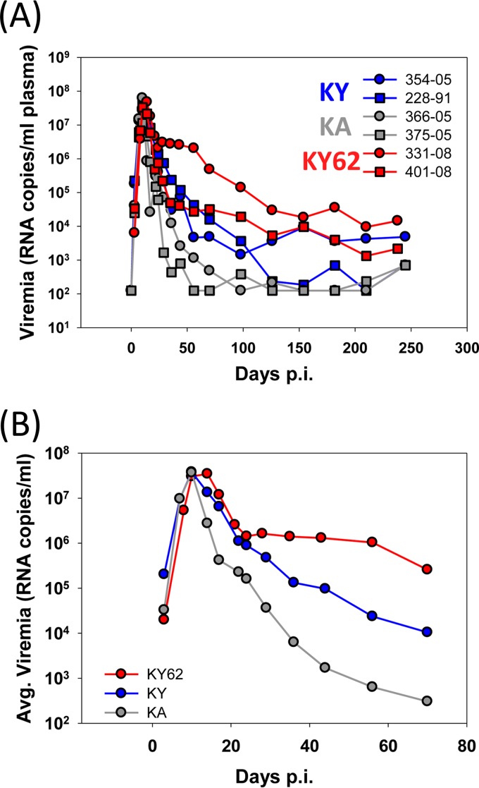 FIG 3