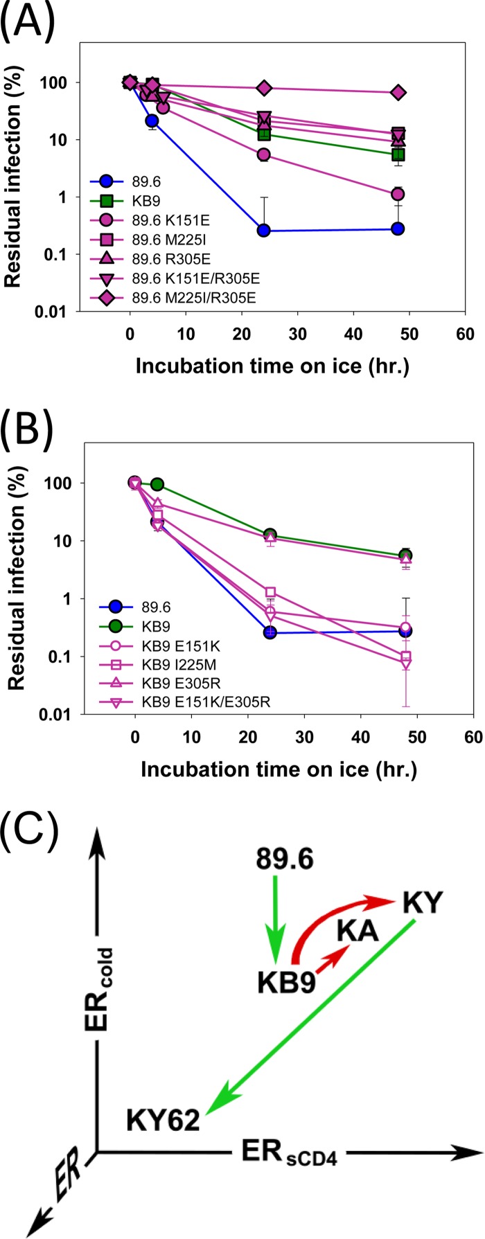 FIG 2