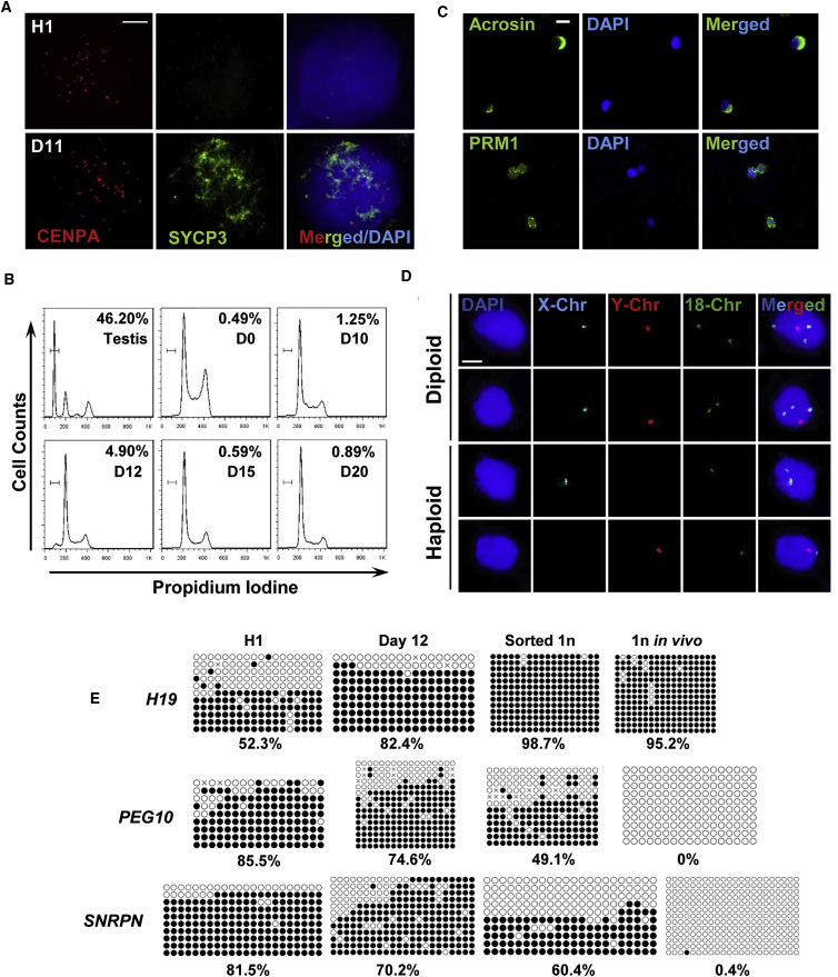 Figure 2