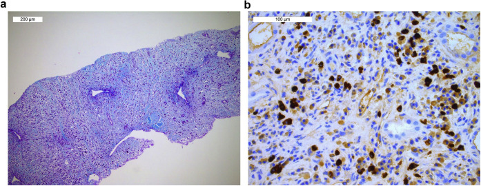 Figure 1