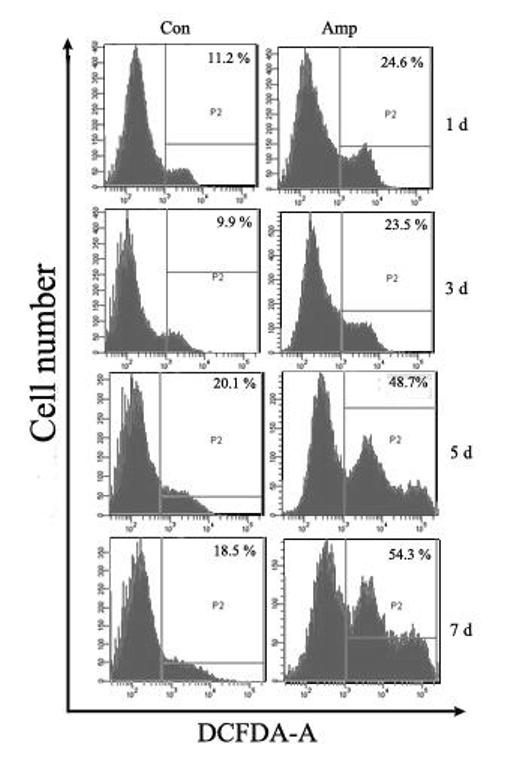 Fig. 5