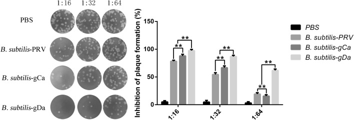 Fig. 6