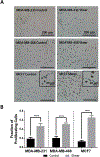 Figure 5: