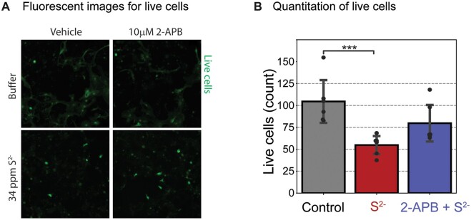 Figure 11.