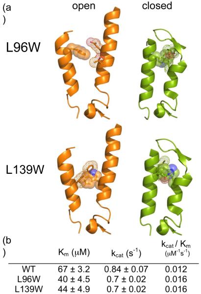 Fig. 5