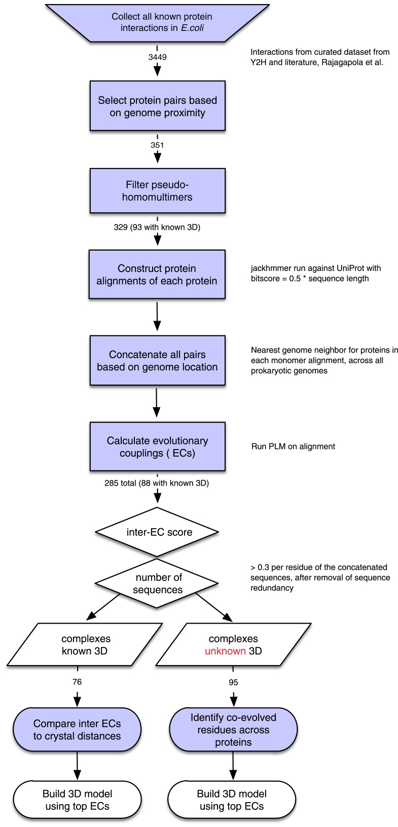 Figure 1—figure supplement 1.