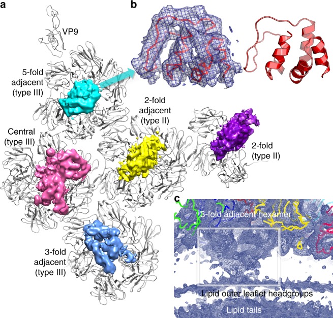 Fig. 3