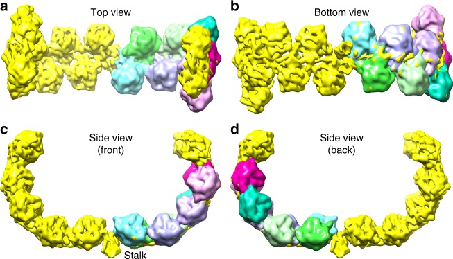 Fig. 4