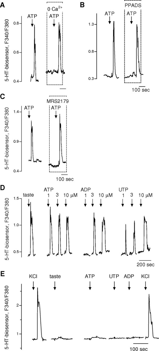 Figure 6.