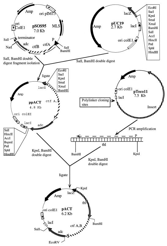 FIG. 1