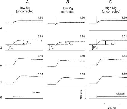 FIGURE 4