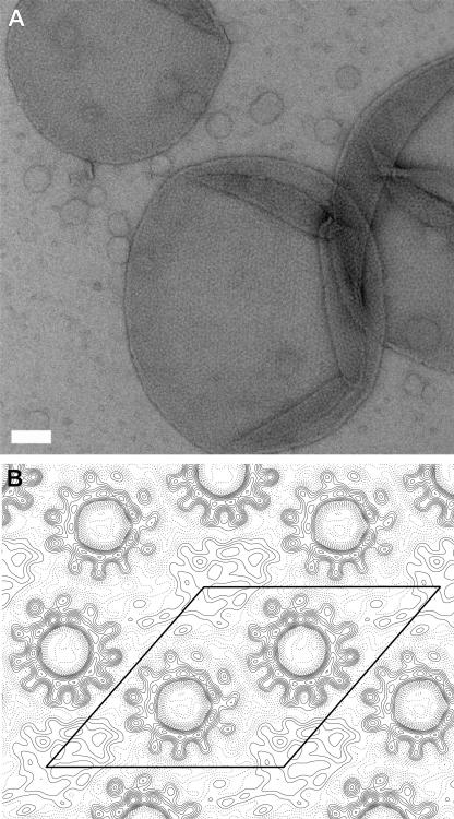 FIG. 3.