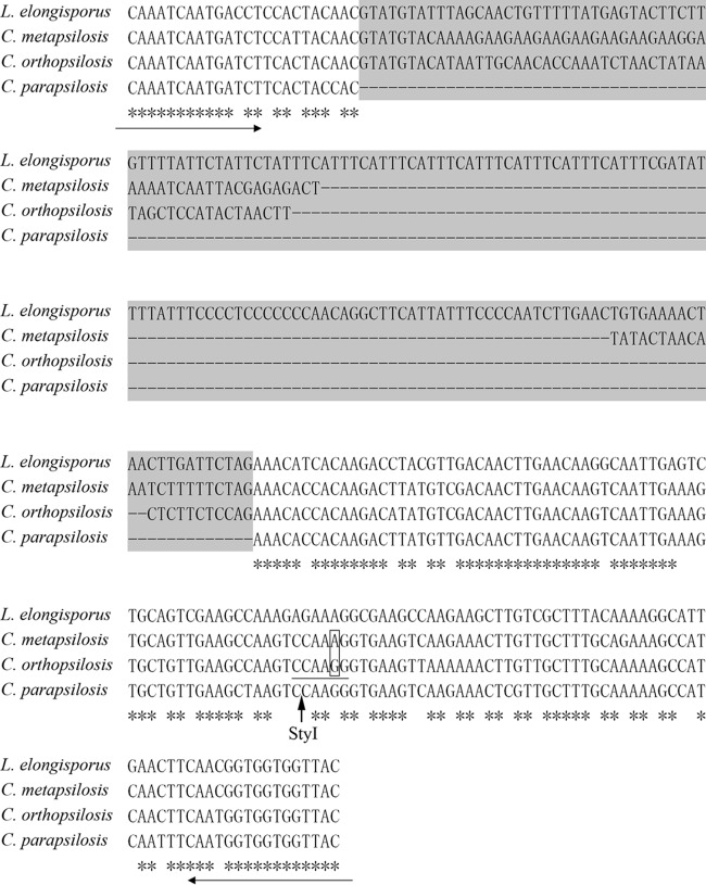 FIG 1