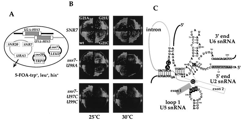 FIG. 6