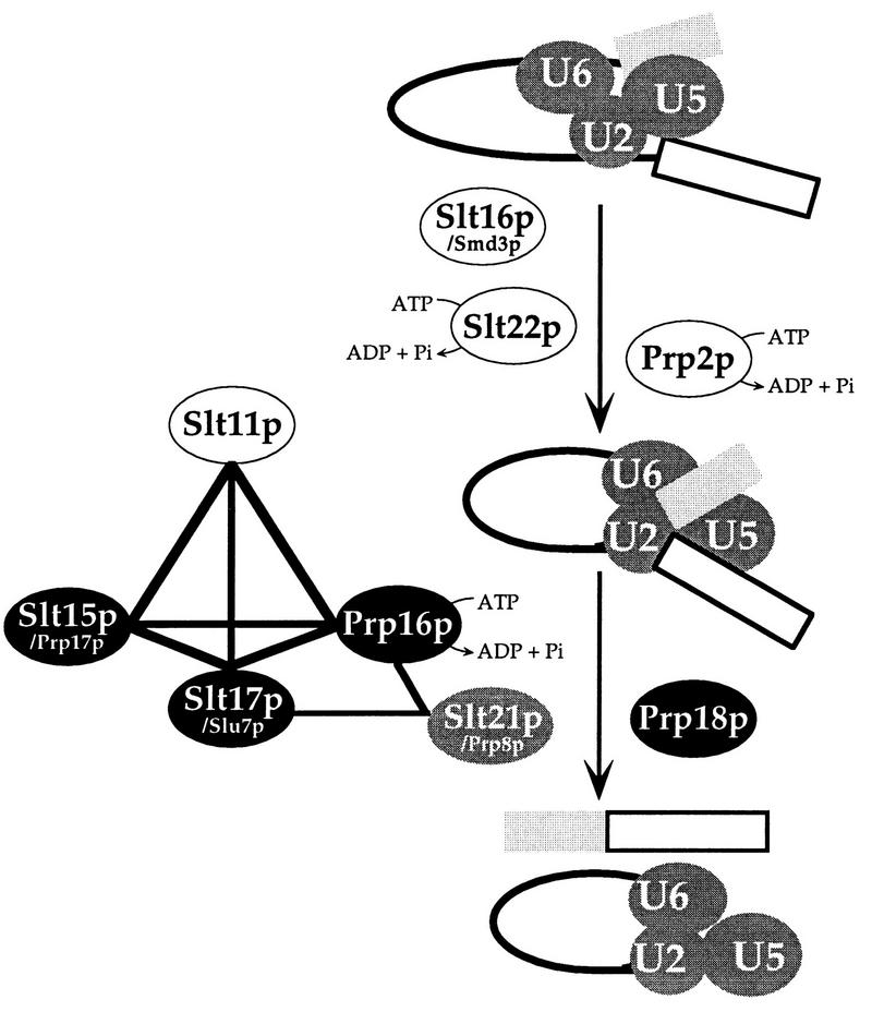 FIG. 4