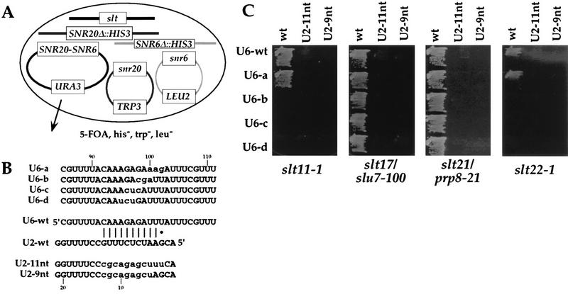 FIG. 3