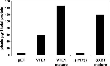 Figure 6.