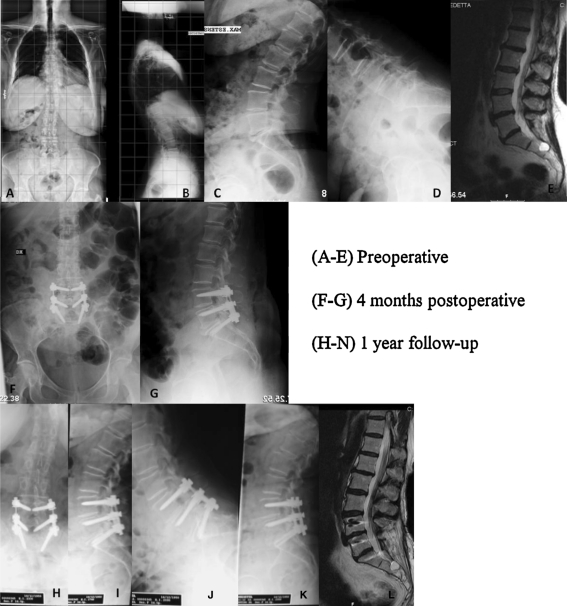 Fig. 2