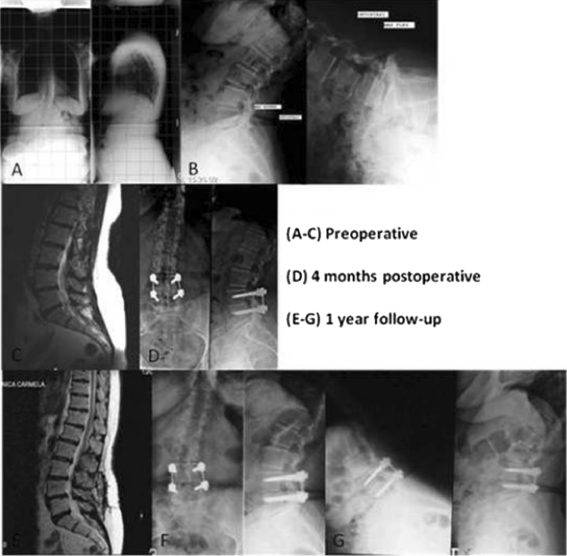 Fig. 1