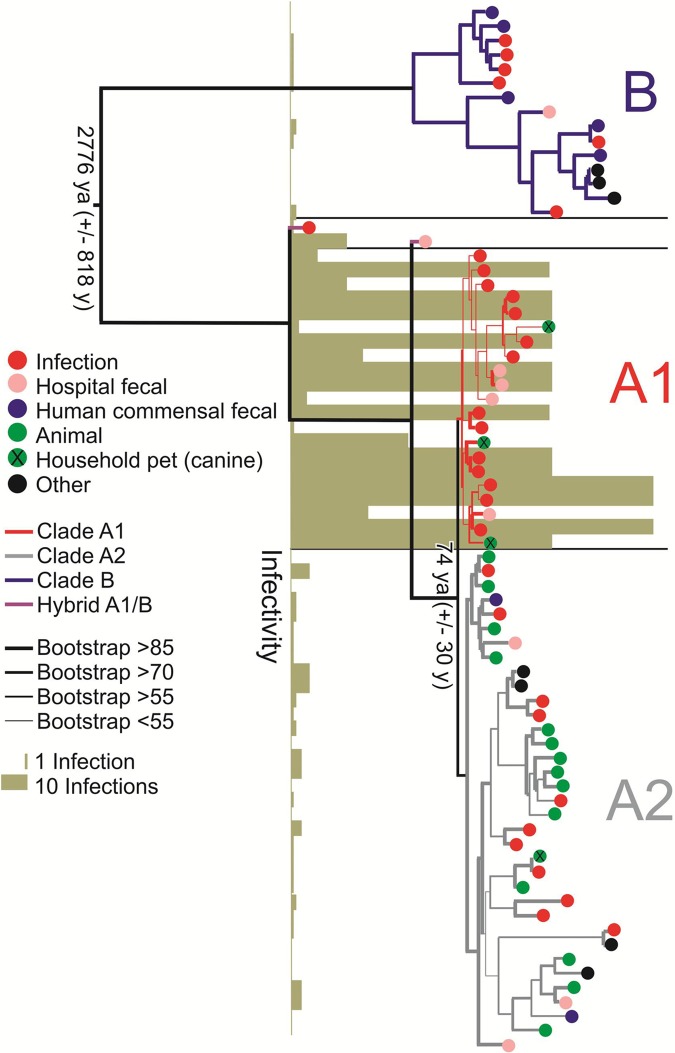 FIG 2 