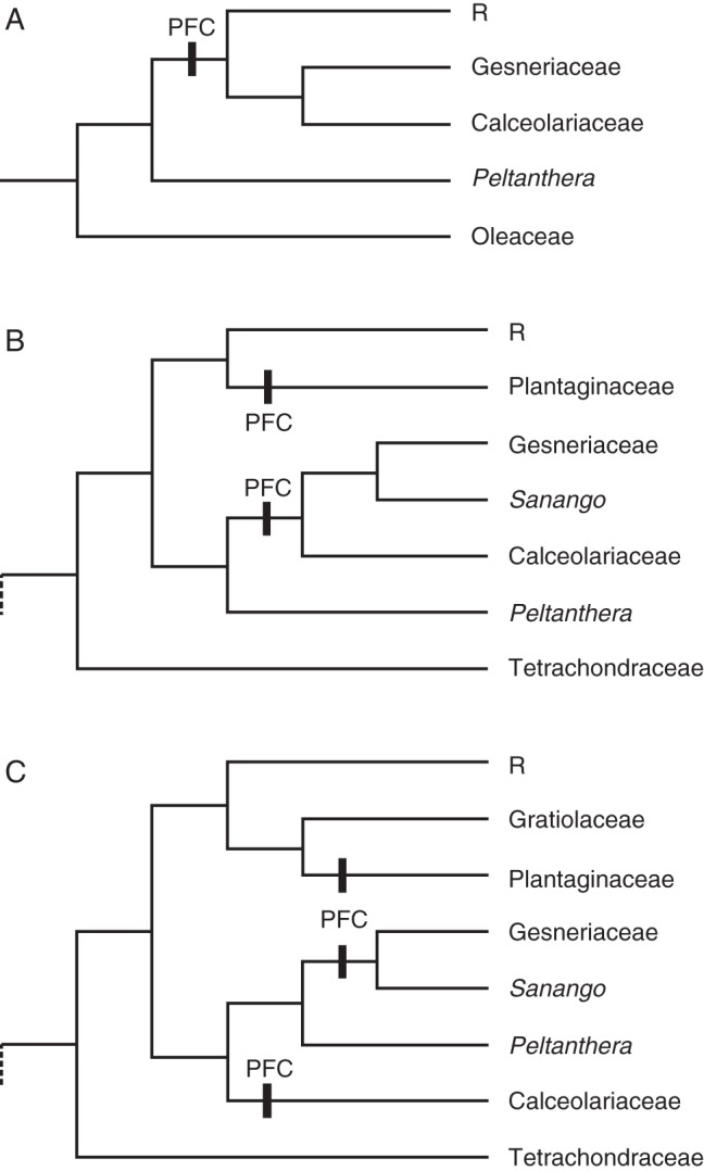Fig. 8.