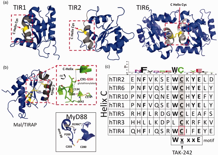 Figure 1.