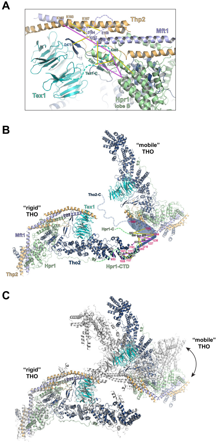 Figure 4—figure supplement 2.