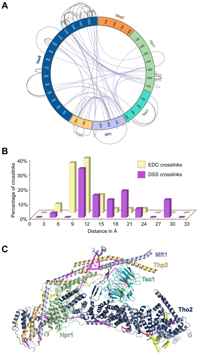 Figure 4—figure supplement 1.