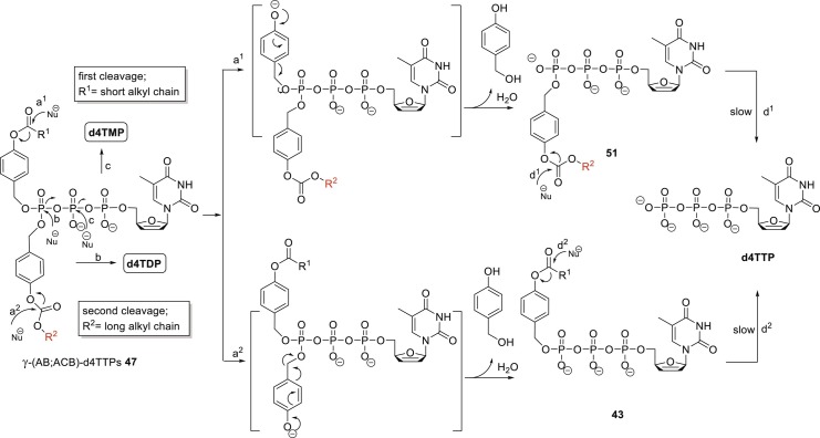 Scheme 16