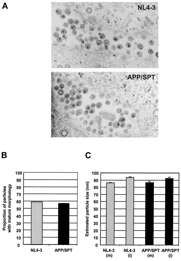 FIG. 6