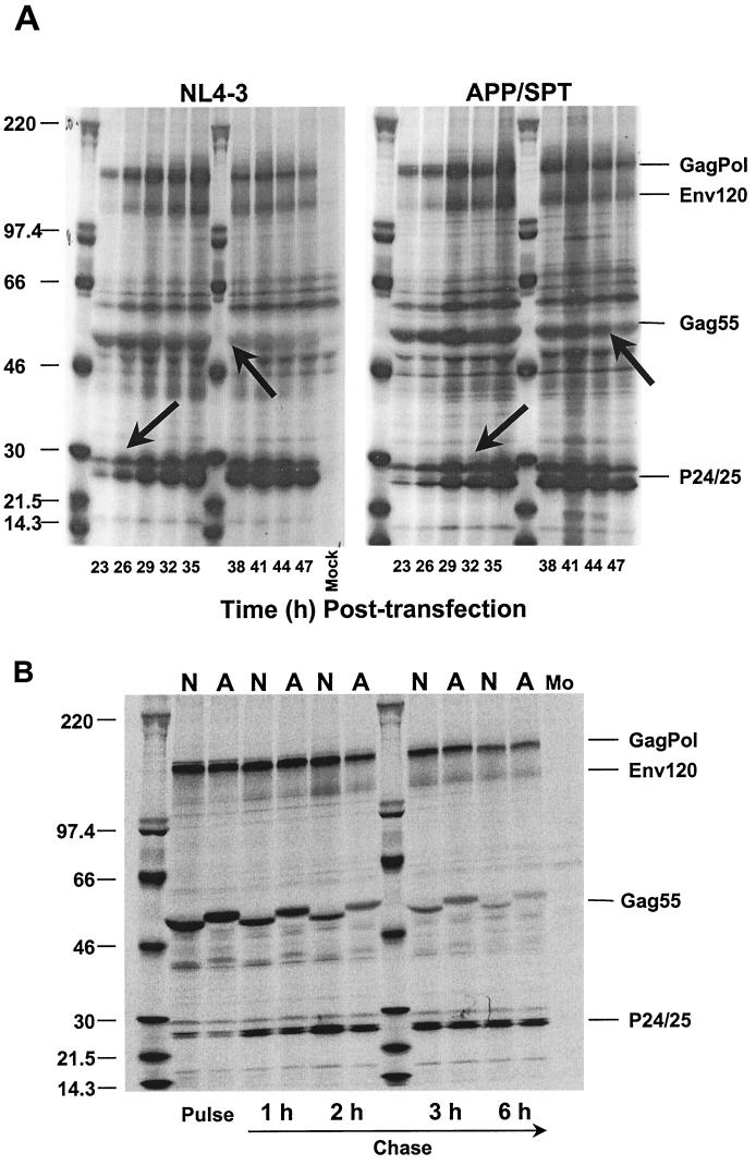 FIG. 4