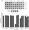 FIG. 2.