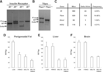 FIG. 6.