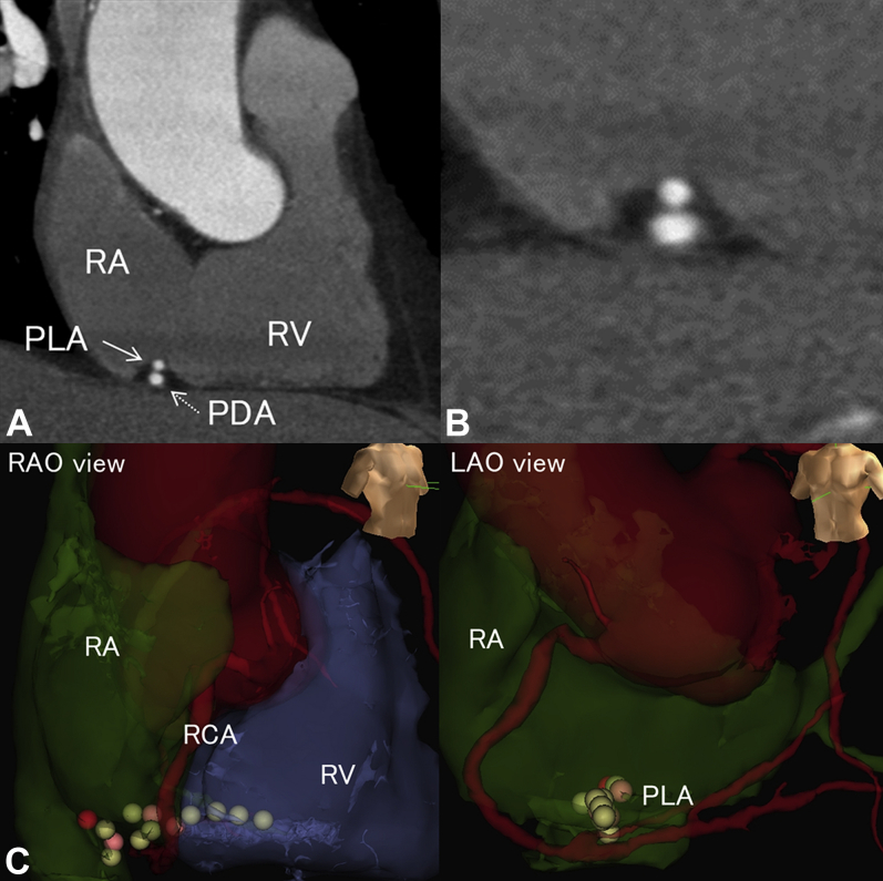 Figure 2